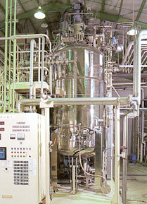 big jar fermenter for chlorella